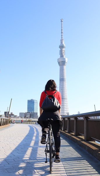 NEWS  CycleTrip（東京を中心としたスポーツ自転車の宅配レンタル 