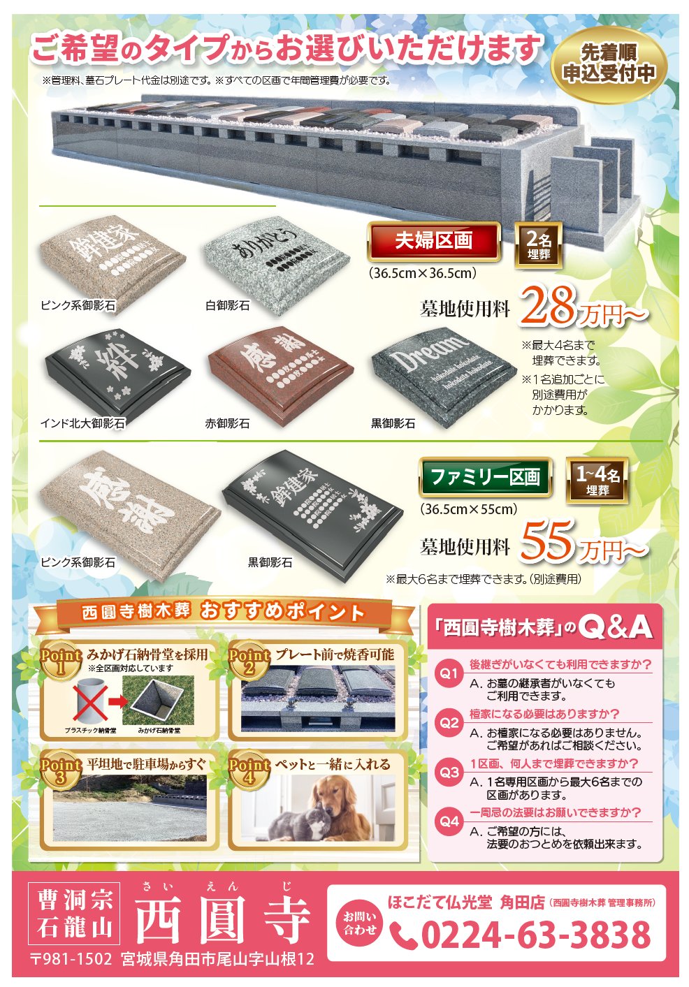 西圓寺 見学会 チラシ ウラ